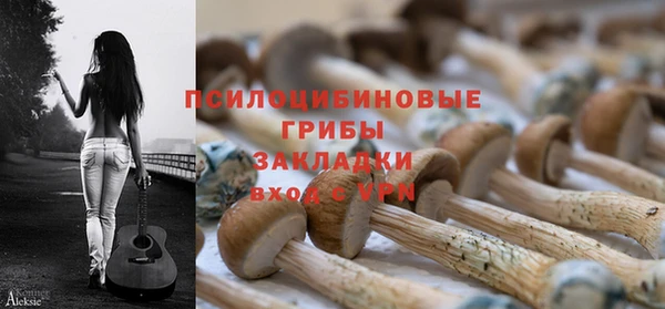 индика Нея