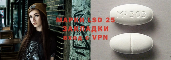 индика Нея
