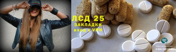 индика Нея