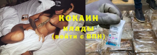 индика Нея