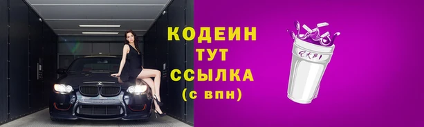 индика Нея