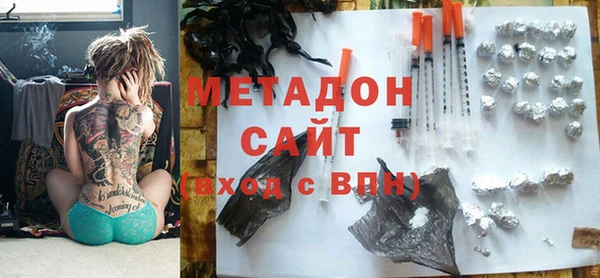 индика Нея