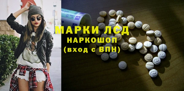 индика Нея