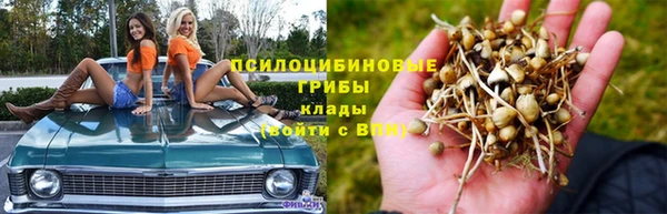 каннабис Нефтекумск