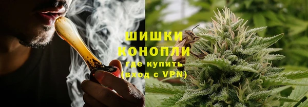 индика Нея