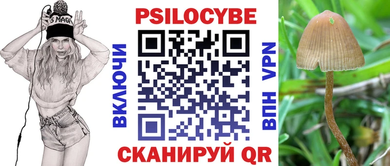 купить   Хилок  Псилоцибиновые грибы мицелий 